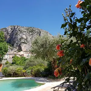 Bastide Des Oliviers Couette-café